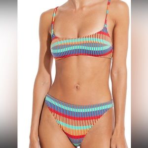 solid and striped iris bottoms in technicolor